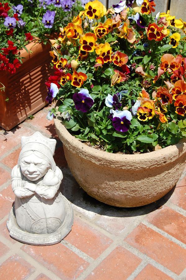 Cheshire Cat Inn & Cottages Santa Barbara Exterior photo