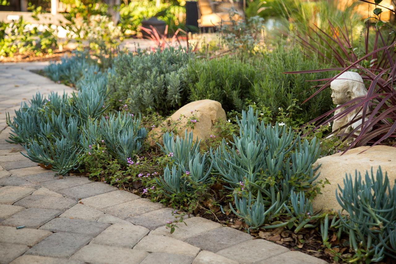 Cheshire Cat Inn & Cottages Santa Barbara Exterior photo